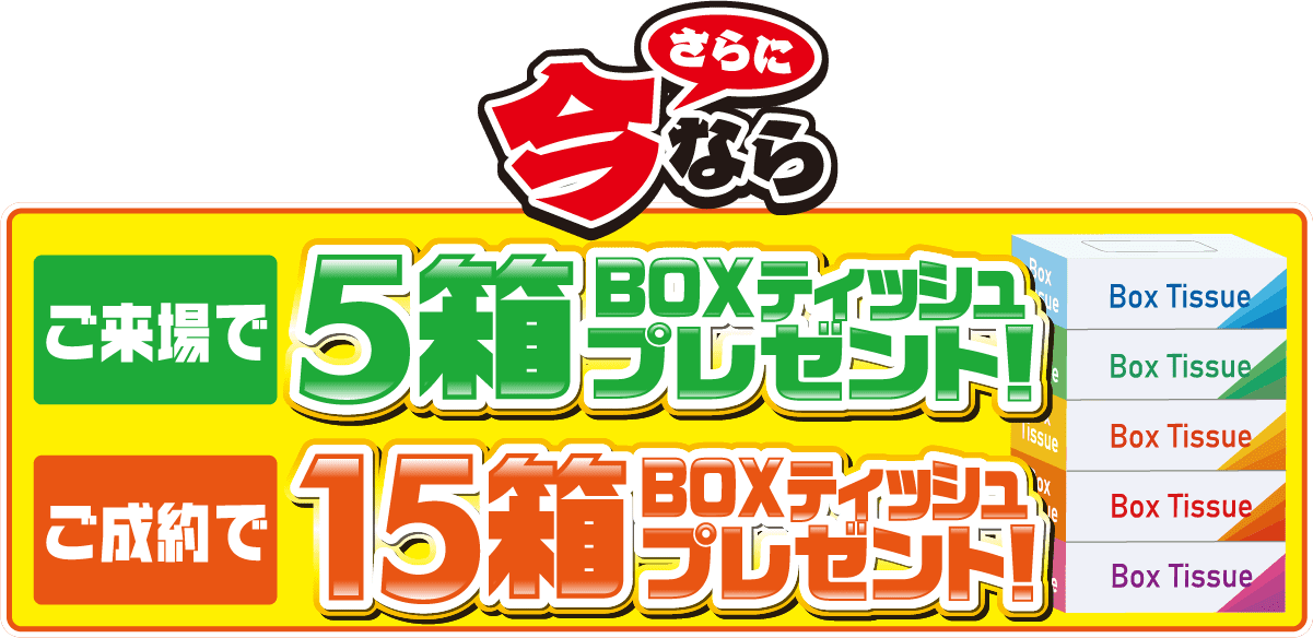 さらに今ならBOXティッシュプレゼント！