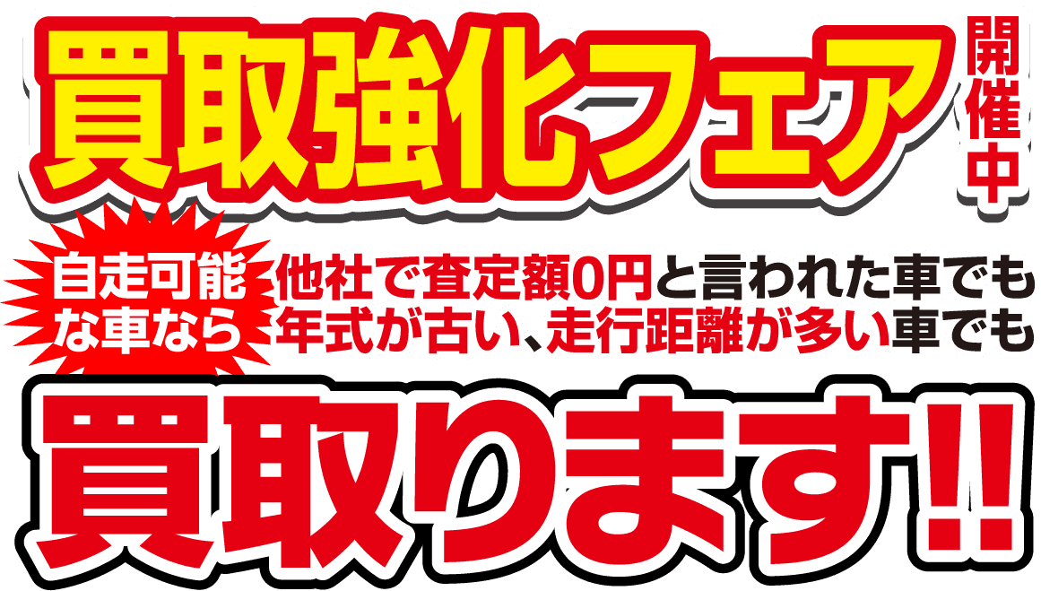 買取強化フェア開催中