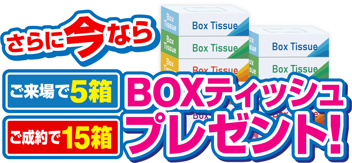 さらに今ならBOXティッシュプレゼント!