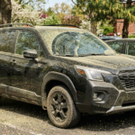 【保存版】車に付いた花粉の放置はNG！シミを防ぐ正しい洗車方法と対策